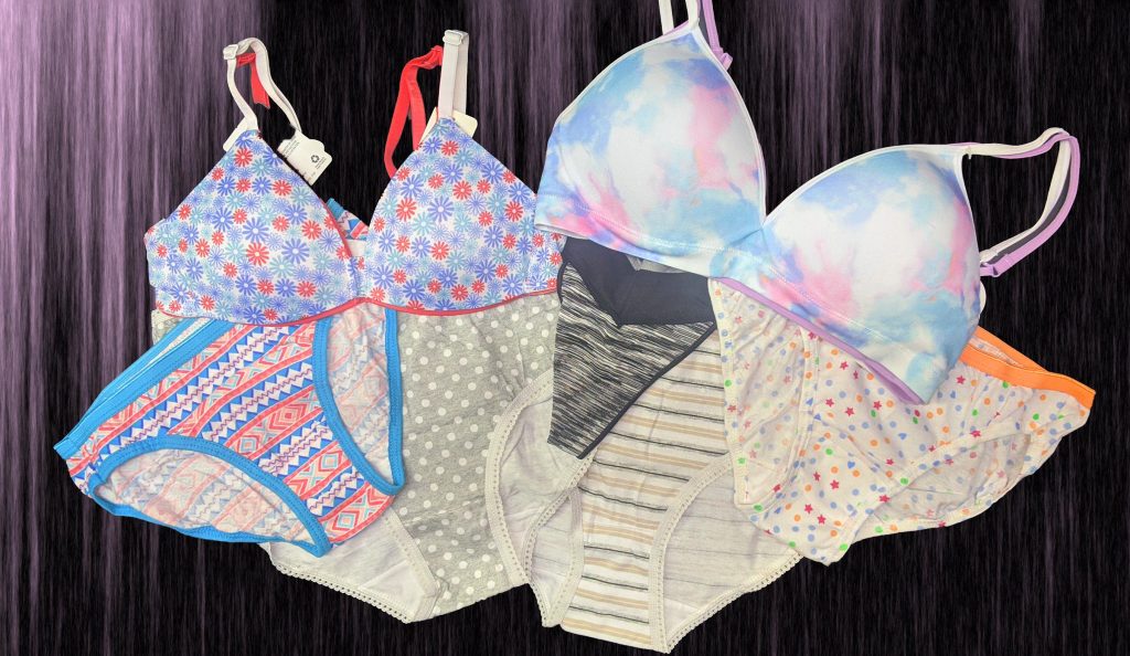 Havasu Helping Girls