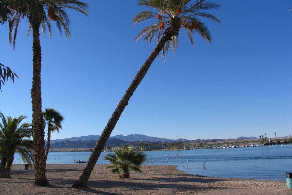 Havasu Helping Girls